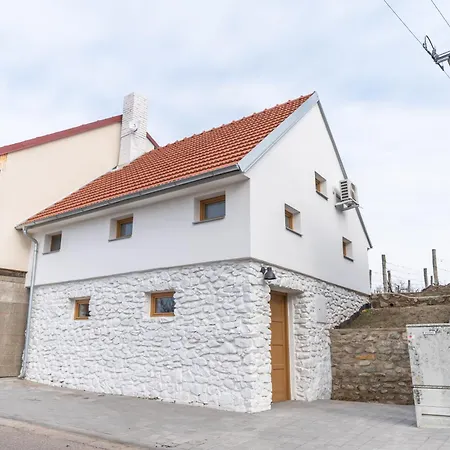 Ve Vinici Appartement Drnholec Buitenkant foto